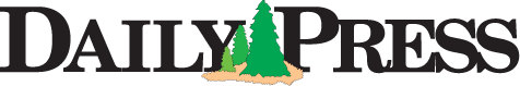 website logo